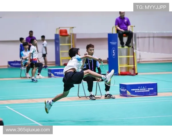 赛后分析:北京羽毛球队与南京羽毛球队技术对比及比赛亮点解析
